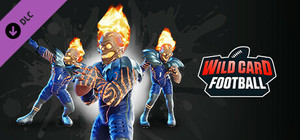 Wild Card Football - Blazing Bones banner