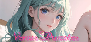 Venus Puzzles banner