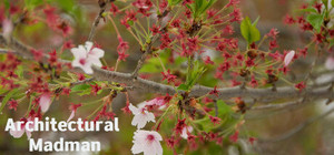 Architectural Madman banner