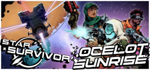 Star Sunrise banner