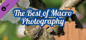 House of Jigsaw: The Best of Macro Photography banner