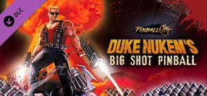 Pinball M - Duke Nukem's Big Shot Pinball banner