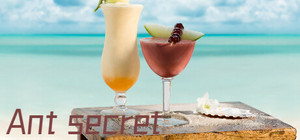 Ant secret banner