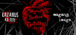 Magnus Trilogy banner