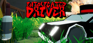 Intoxicated Driver banner