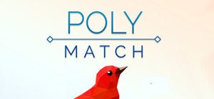 Poly Match banner