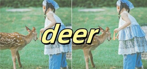 Deer banner