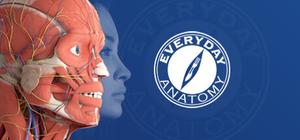 Everyday Anatomy banner