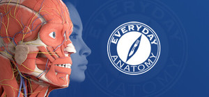 Everyday Anatomy banner