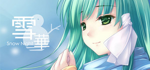 Snow Night banner