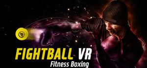 FIGHT BALL VR banner