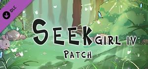 Seek Girl Ⅳ - Patch banner
