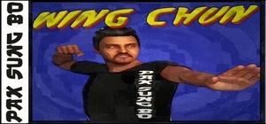 Pak Sung Bo Wing Chun banner