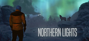 Northern Lights banner