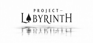 Project Labyrinth banner