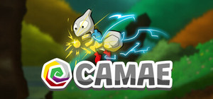 Camae banner