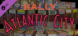 Bingo Pinball Gameroom - Bally Atlantic City banner