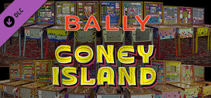 Bingo Pinball Gameroom - Bally Coney Island banner