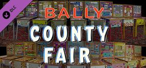 Bingo Pinball Gameroom - Bally County Fair banner