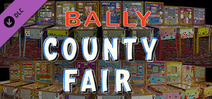 Bingo Pinball Gameroom - Bally County Fair banner