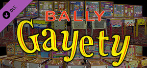 Bingo Pinball Gameroom - Bally Gayety banner