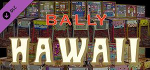 Bingo Pinball Gameroom - Bally Hawaii banner