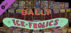 Bingo Pinball Gameroom - Bally Ice Frolics banner
