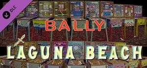 Bingo Pinball Gameroom - Bally Laguna Beach banner