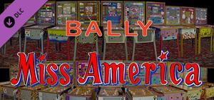 Bingo Pinball Gameroom - Bally Miss America banner