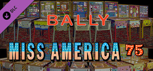 Bingo Pinball Gameroom - Bally Miss America 75 banner