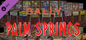 Bingo Pinball Gameroom - Bally Palm Springs banner