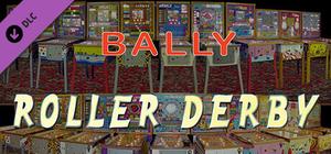 Bingo Pinball Gameroom - Bally Roller Derby banner