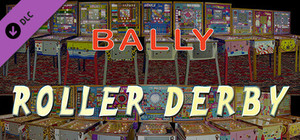 Bingo Pinball Gameroom - Bally Roller Derby banner