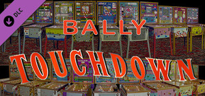 Bingo Pinball Gameroom - Bally Touchdown banner