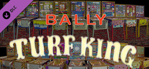 Bingo Pinball Gameroom - Bally Turf King banner