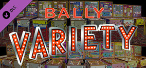 Bingo Pinball Gameroom - Bally Variety banner