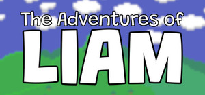 The Adventures of Liam banner