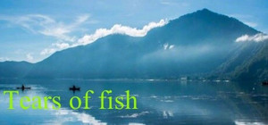 Tears of fish banner