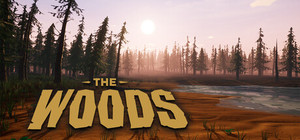 The Woods banner