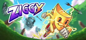 Ziggy banner