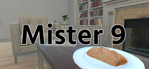 Mister 9 banner