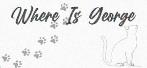 Where Is George banner