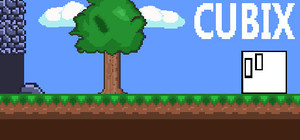 Cubix banner