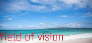 field of vision banner