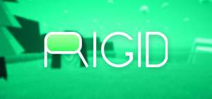 Rigid banner
