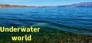 Underwater world banner