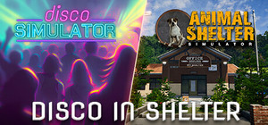 Disco in Shelter banner