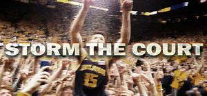 Storm The Court banner