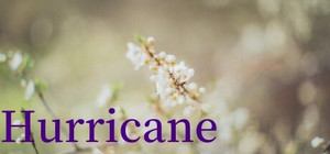 Hurricane banner