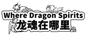 Where Dragon Spirits 龙魂在哪里 banner